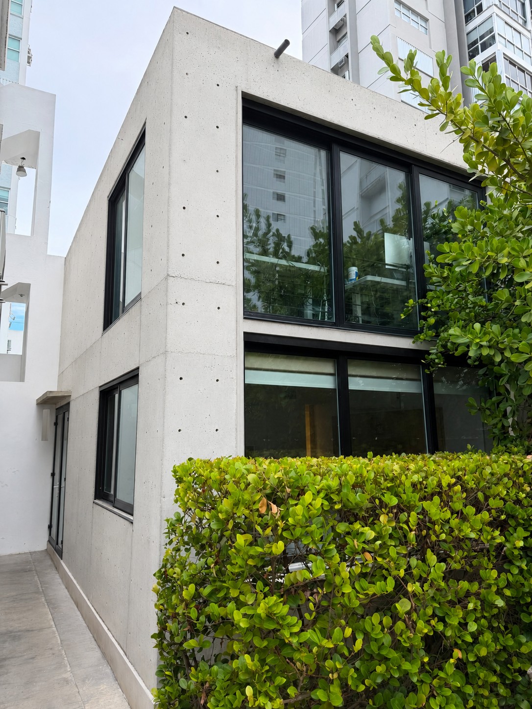 Ando 55, 1 — board-formed concrete exterior in San Juan